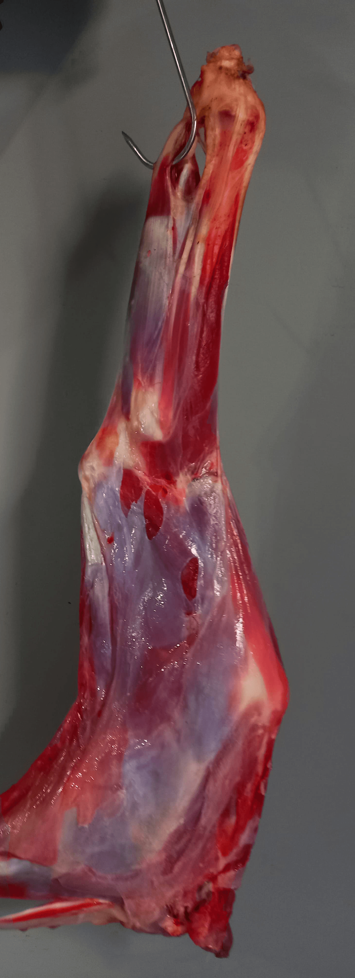 Get quality goat thighs / shanks from Pottamart at IDR 130,000 / kg. With varied sizes (1.4-2.3kg) suitable for a variety of your favorite dishes.